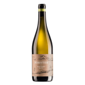bioweingut forster grauburgunder resérve 2020