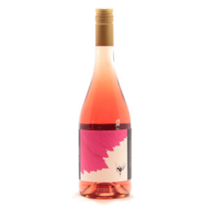 bioweinbau oberkofler uhudler frizzante 2023