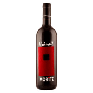 bioweingut moritz blaufränkisch "urknall" 2023